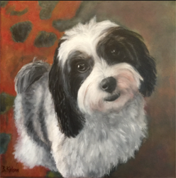 Pet portrait of black, white furry dog, original oil painting by Barb Keilson