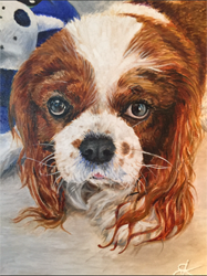 Oil painting Pet portrait of Sammy, dog of painter, artist, color analyst Barb Keilson