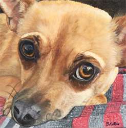 Pet portrait of brown dog, original oil painting by Barb Keilson