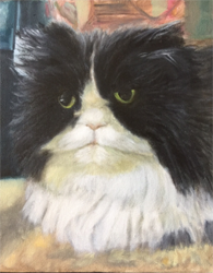 Pet portrait of black, white furry cat, original oil painting by Barb Keilson